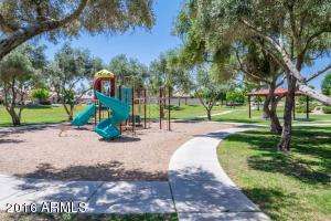 320 W Brooks St, Gilbert, AZ 85233 photo 30