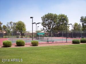 3930 E Graythorn St, Phoenix, AZ 85044 photo 29