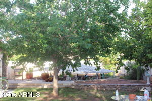 2911 E Concho Ave, Mesa, AZ 85204 photo 25