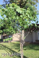 2911 E Concho Ave, Mesa, AZ 85204 photo 7