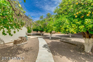 4664 E Downing Cir, Mesa, AZ 85205 photo 60