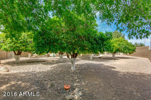 4664 E Downing Cir, Mesa, AZ 85205 photo 59