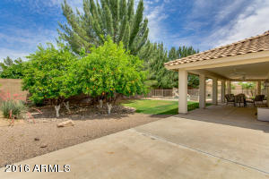 4664 E Downing Cir, Mesa, AZ 85205 photo 68