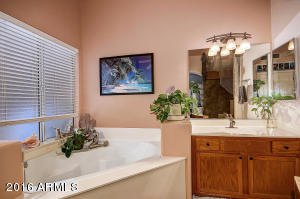 263 E Nunneley Rd, Gilbert, AZ 85296 photo 21