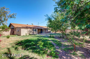 146 N Fraser Dr #E, Mesa, AZ 85203 photo 7