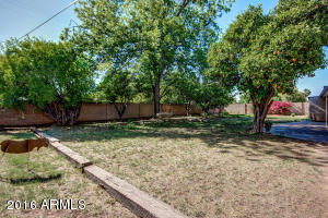 146 N Fraser Dr #E, Mesa, AZ 85203 photo 9