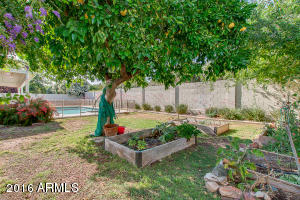 4042 E Coolidge St, Phoenix, AZ 85018 photo 16