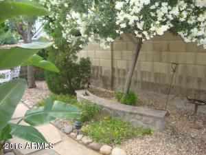208 E Anderson Ave, Phoenix, AZ 85022 photo 25