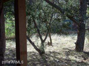 2128 N Woods Dr, Overgaard, AZ 85933 photo 23