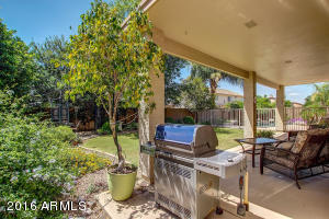9543 E Jerome Ave, Mesa, AZ 85209 photo 34