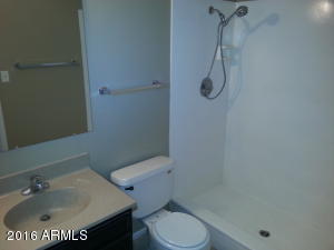 745 S Vineyard --, Mesa, AZ 85210 photo 12
