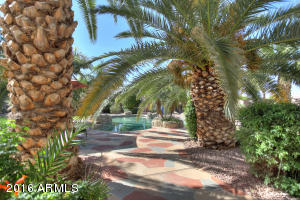 4223 E Fox St, Mesa, AZ 85205 photo 23