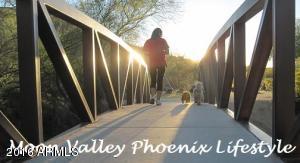 714 E Forest Hills Dr, Phoenix, AZ 85022 photo 22