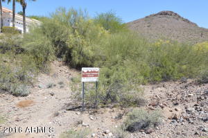 714 E Forest Hills Dr, Phoenix, AZ 85022 photo 19