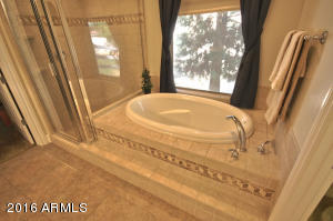 2634 E Via De Palmas --, Gilbert, AZ 85298 photo 13
