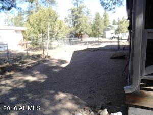 1975 Christmas Pine Cir, Overgaard, AZ 85933 photo 53