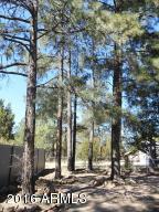1975 Christmas Pine Cir, Overgaard, AZ 85933 photo 51
