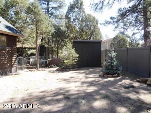 1975 Christmas Pine Cir, Overgaard, AZ 85933 photo 47