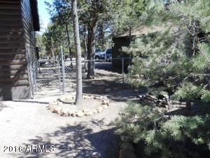 1975 Christmas Pine Cir, Overgaard, AZ 85933 photo 49