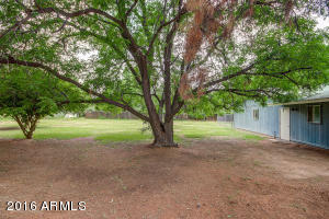 413 E Stanford Ave, Gilbert, AZ 85234 photo 17
