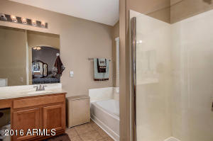 10248 E Knowles Ave, Mesa, AZ 85209 photo 23