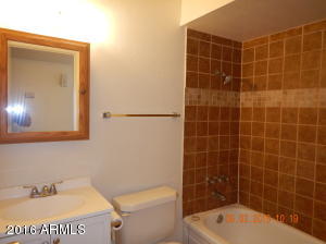 627 E Flower Ave, Mesa, AZ 85204 photo 10