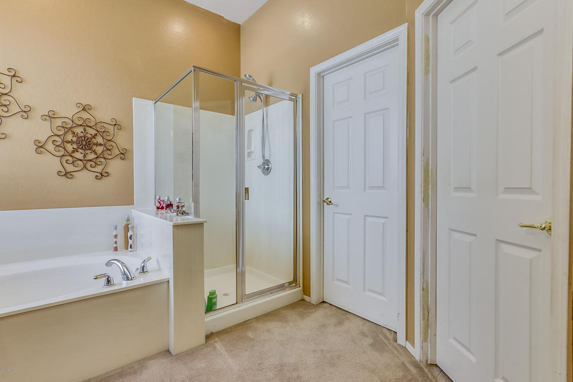 9730 E Lobo Ave, Mesa, AZ 85209 photo 41