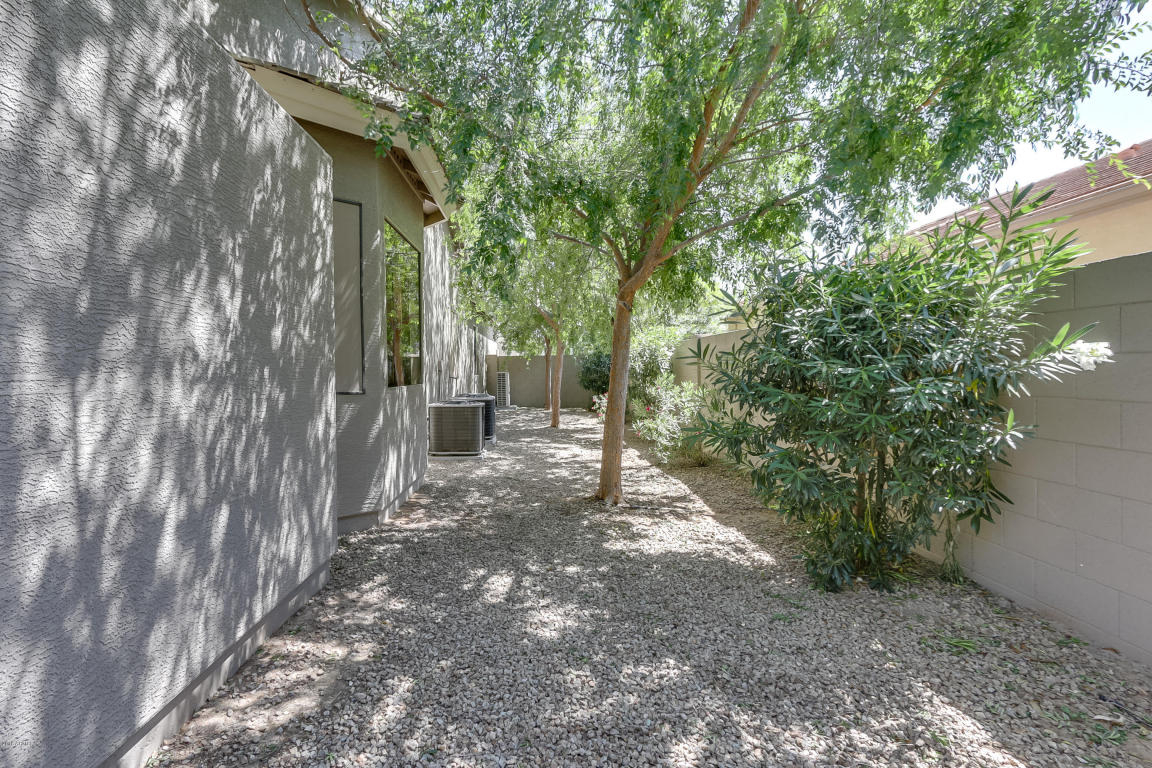 9730 E Lobo Ave, Mesa, AZ 85209 photo 51