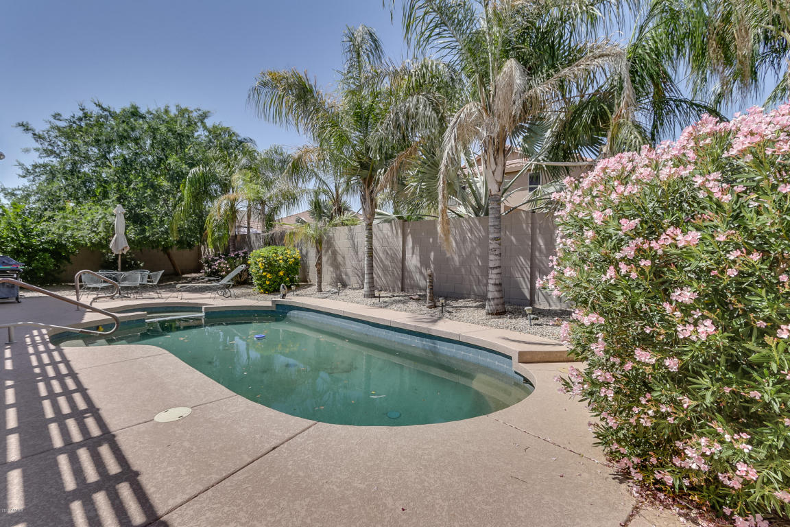 9730 E Lobo Ave, Mesa, AZ 85209 photo 56