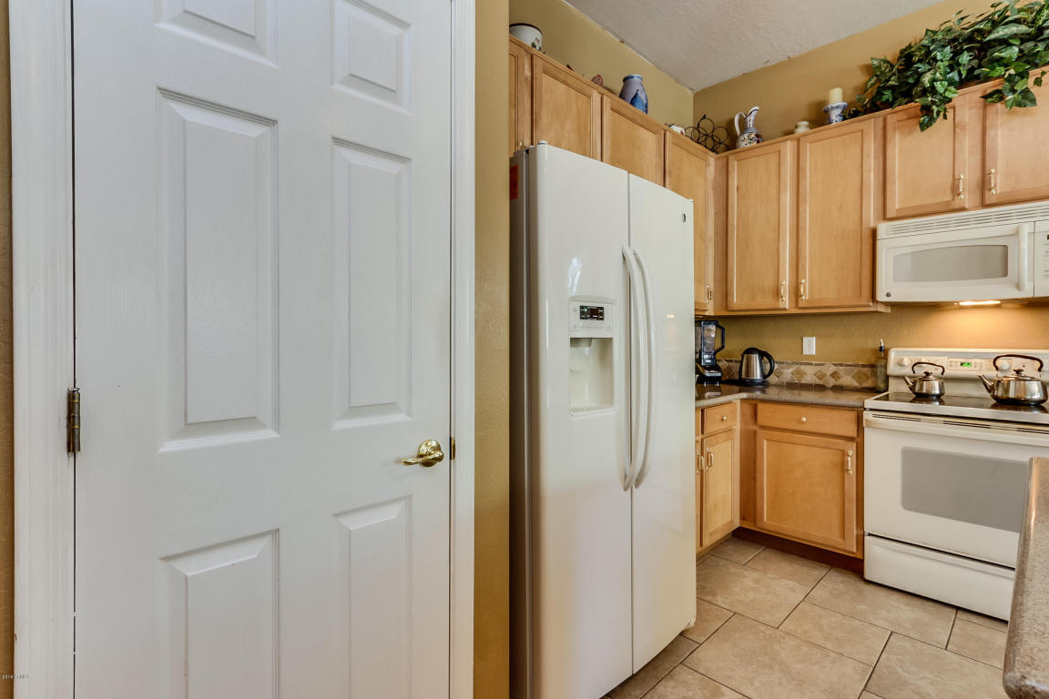 9730 E Lobo Ave, Mesa, AZ 85209 photo 24