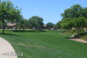 1109 E Hopkins Rd, Gilbert, AZ 85295 photo 5