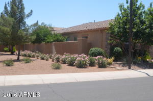 1109 E Hopkins Rd, Gilbert, AZ 85295 photo 6