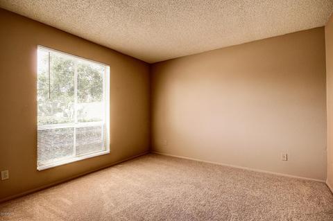 620 E Tam Oshanter Dr, Phoenix, AZ 85022 photo 14