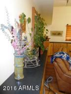 1811 Toad Stool Rd, Overgaard, AZ 85933 photo 35