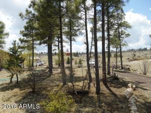 1811 Toad Stool Rd, Overgaard, AZ 85933 photo 15