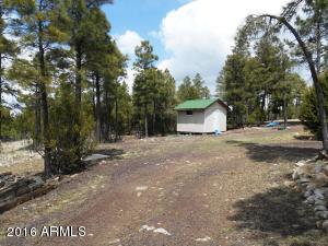 1811 Toad Stool Rd, Overgaard, AZ 85933 photo 6
