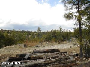 1811 Toad Stool Rd, Overgaard, AZ 85933 photo 7