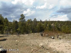 1811 Toad Stool Rd, Overgaard, AZ 85933 photo 53