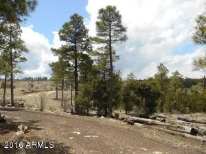 1811 Toad Stool Rd, Overgaard, AZ 85933 photo 14