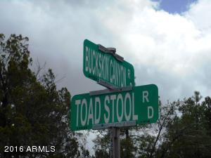 1811 Toad Stool Rd, Overgaard, AZ 85933 photo 2