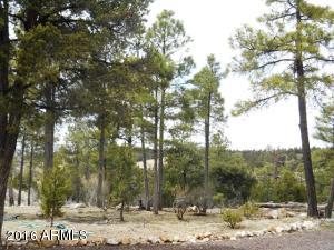 1811 Toad Stool Rd, Overgaard, AZ 85933 photo 10