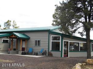 1811 Toad Stool Rd, Overgaard, AZ 85933 photo 9