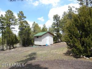 1811 Toad Stool Rd, Overgaard, AZ 85933 photo 17