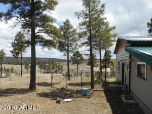 1811 Toad Stool Rd, Overgaard, AZ 85933 photo 46