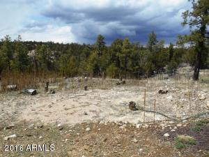 1811 Toad Stool Rd, Overgaard, AZ 85933 photo 52