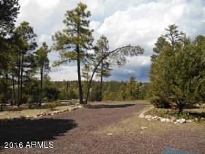 1811 Toad Stool Rd, Overgaard, AZ 85933 photo 42