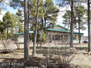 1811 Toad Stool Rd, Overgaard, AZ 85933 photo 54