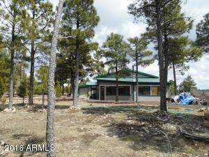 1811 Toad Stool Rd, Overgaard, AZ 85933 photo 4