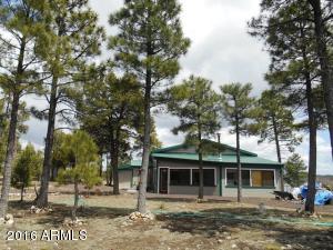 1811 Toad Stool Rd, Overgaard, AZ 85933 photo 5