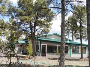 1811 Toad Stool Rd, Overgaard, AZ 85933 photo 56